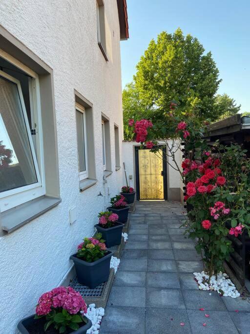 Bronzetaler Apartamento Bad Harzburg Exterior foto